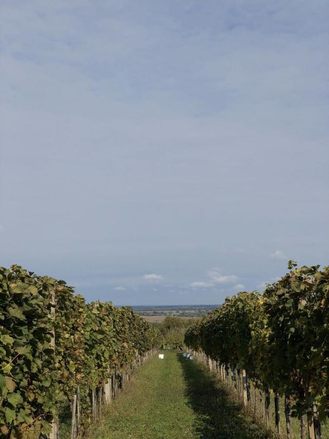 Baranja Black Hill'S Gajic Εξωτερικό φωτογραφία