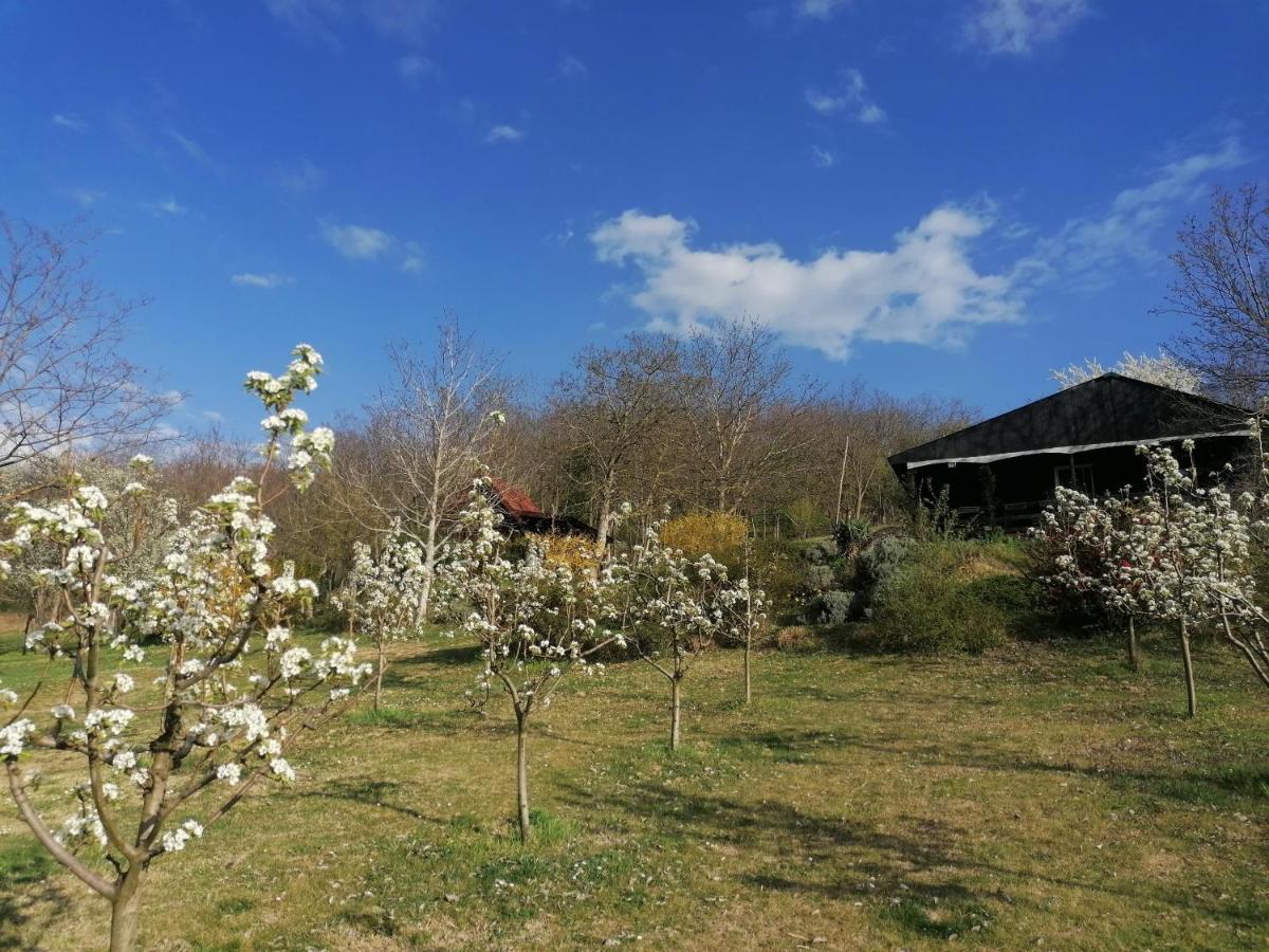 Baranja Black Hill'S Gajic Εξωτερικό φωτογραφία