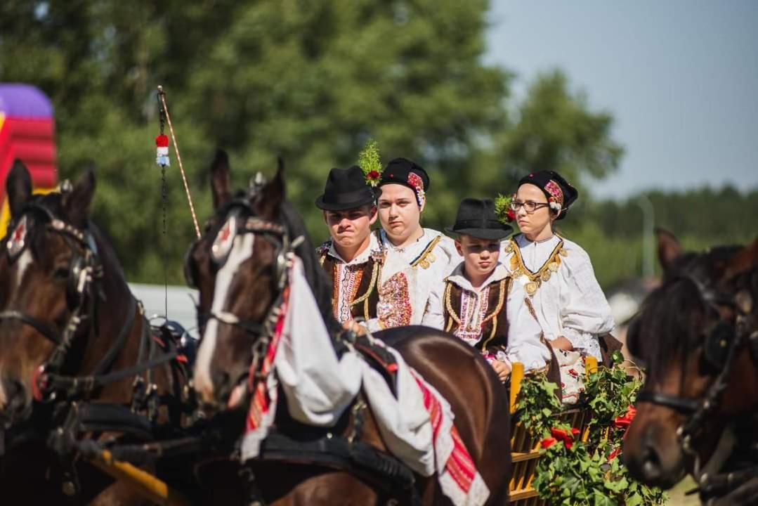 Baranja Black Hill'S Gajic Εξωτερικό φωτογραφία