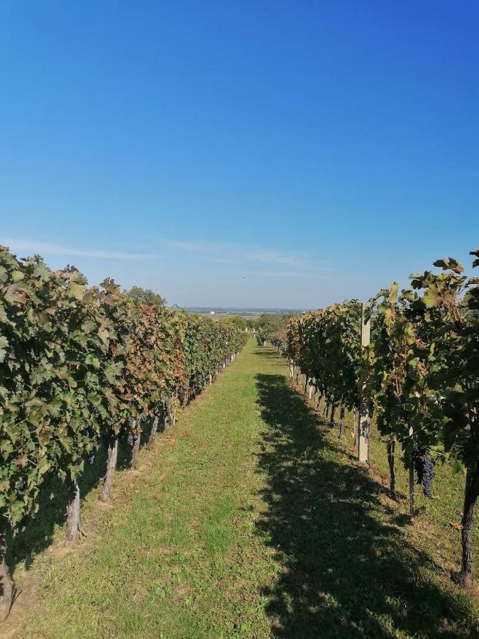Baranja Black Hill'S Gajic Εξωτερικό φωτογραφία